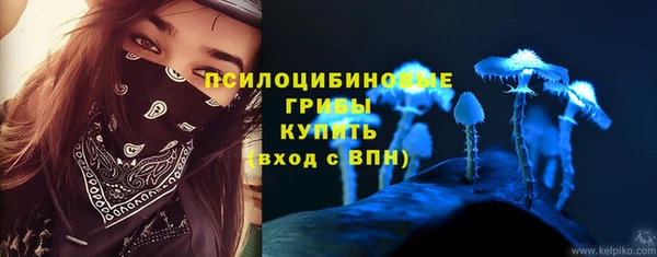 спиды Волоколамск