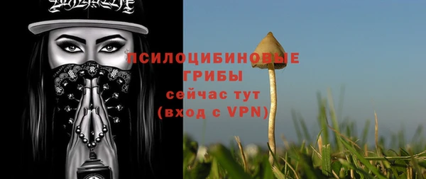спиды Волоколамск