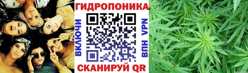 Каннабис план  Купить где  Яранск 